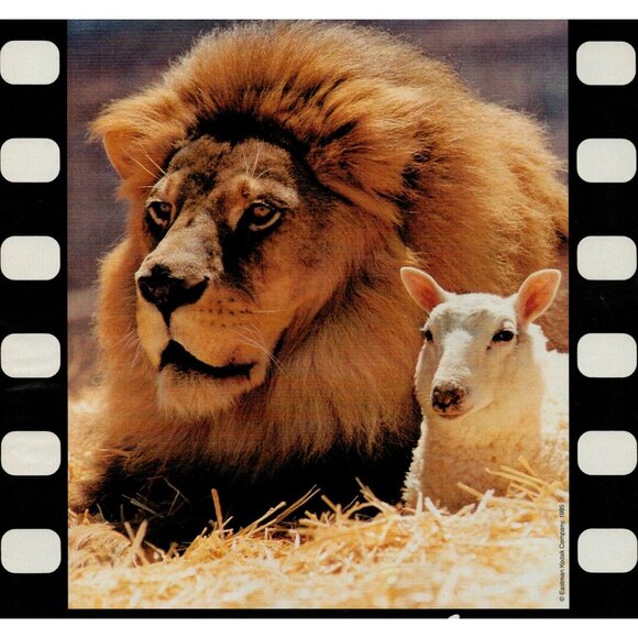 1985 Kodak Kodacolor VR 100 35mm film Vintage Print Ad (L20) - Picture 2 of 3